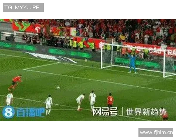 世欧预赛禁区触球数据揭晓多库遥遥领先哈兰德加克波凯恩紧随其后