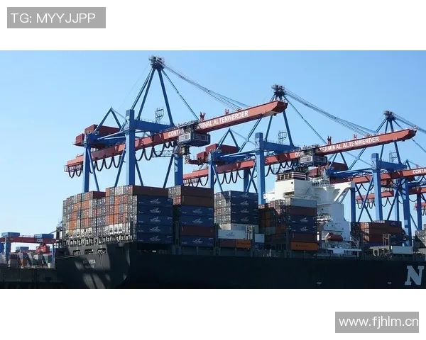 海港俱乐部关注杨希引援动态徐彬留洋前景复杂需谨慎评估 海港俱乐部关注杨希引援动态徐彬留洋前景复杂需谨慎评估