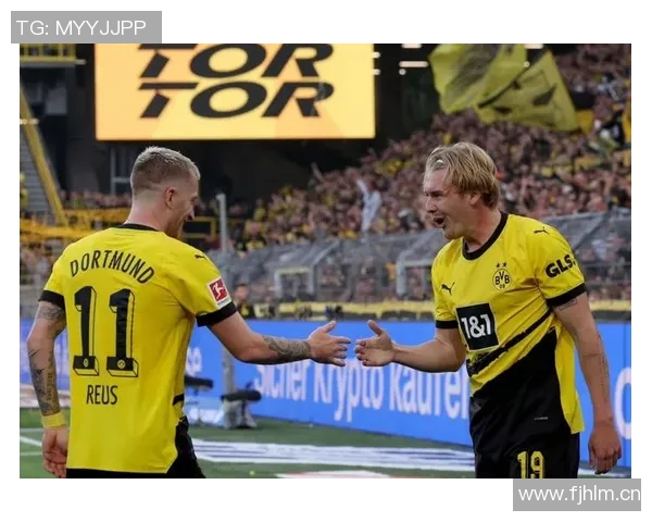 罗伊斯力挺布兰特留队多特未来合作前景可期